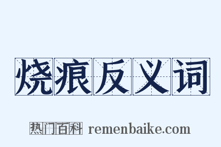 烧痕反义词是什么意思的图片